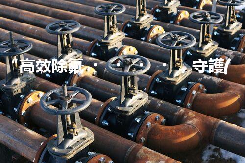 “高效除氟，守護(hù)碧水藍(lán)天——廢水中氟離子處理新篇章”
